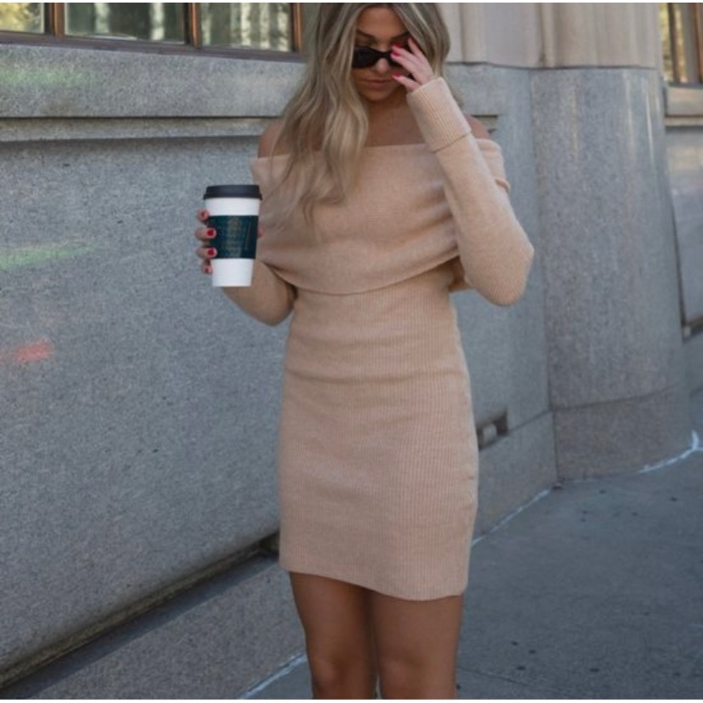 Hudson Oatmeal Sweater Dress